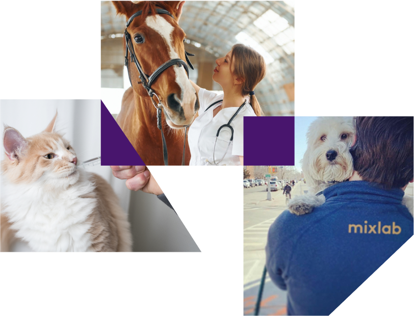 About Mixlab | Online Veterinary Pharmacy