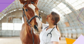 equine pain management