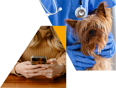 Prescription Process