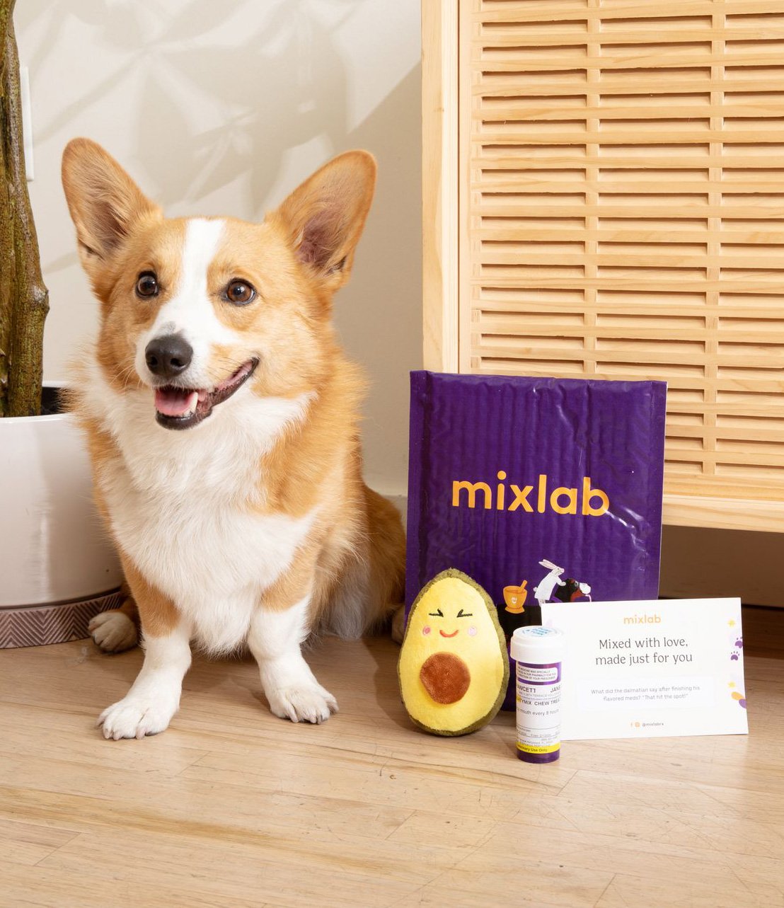 Mixlab Mailer with Dog