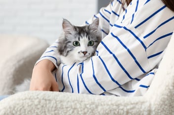 cat cuddling with owner