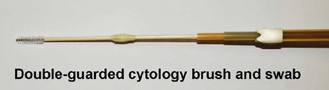 doubleguardedcytology