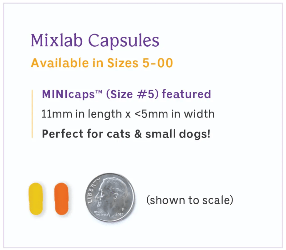 8 Types of Pet Medication Forms Mixlab Can Compound | Mixlab