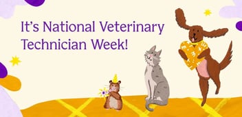 national vet technician week