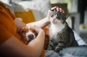 pet owner petting dog and cat