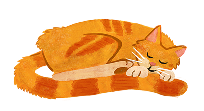 sleeping cat_Orange